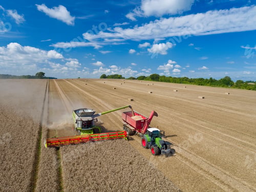 Preview: Aerial View Of Combine Harvester Harvesting Wheat And Filling Tractor Trailer With Grain
