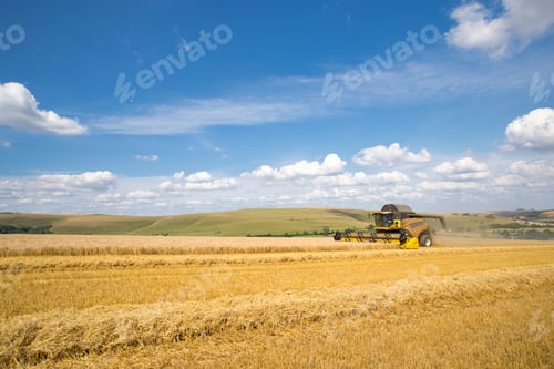 Preview: Wide Shot Of A Combine Harvester Gathering Wheat In A Rural Field On A Cloudy Day.