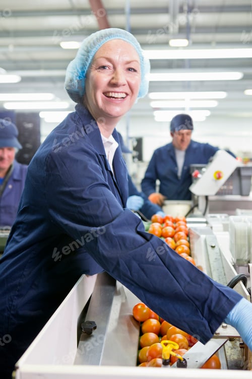 Preview: Portrait Of A Smiling Quality Control Worker Checking Tomatoes At Production Line In A Food