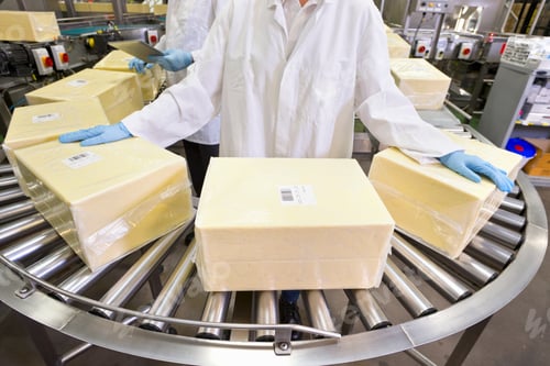 Preview: Worker Handling Large Blocks Of Cheese At Production Line In Processing Plant