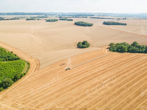 Preview: Harvest Aerial Of Combine Harvester Cutting Summer Wheat Field Crop And Tractor Trailer On Farm