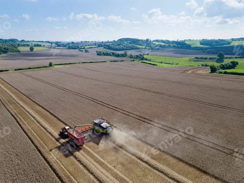 Preview: Aerial View Of Combine Harvester Harvesting Wheat And Filling Tractor Trailer With Grain