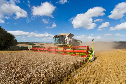Preview: Combine Harvester Harvesting Field Of Wheat