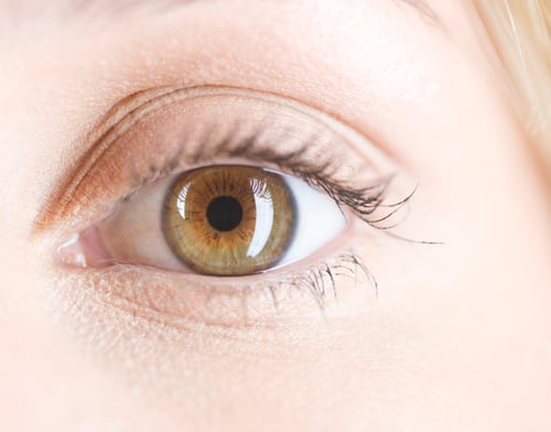 Preview: Close-Up Of A Hazel Colored Eye