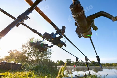 Preview: Low Angle Shot Of Carp Fishing Rods Against Sunny Blue Sky