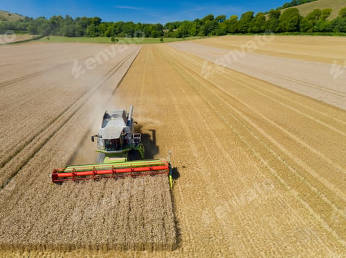 Preview: Aerial View Of Combine Harvester Harvesting Wheat Crop
