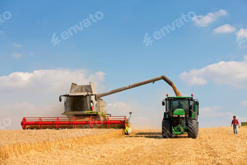 Preview: Farmer Watching Combine Harvester Fill Tractor Trailer In Golden Barley Field
