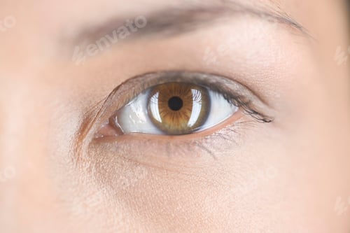 Preview: Close-Up Of A Hazel Eye On The Face Of A Female