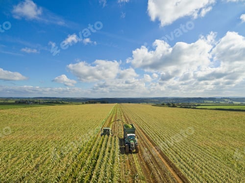 Visualização: Ampla vista aérea do trator enchendo o trailer com milho colhido em um campo ensolarado