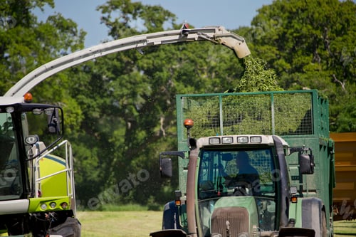 Preview: Forage Harvester Cutting Grass Silage Crop And Filling Tractor Trailer
