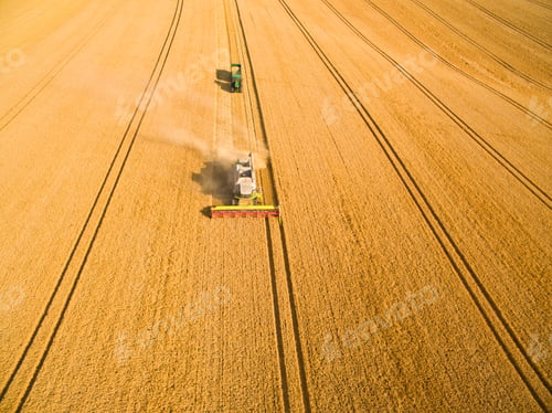 Preview: Aerial View Of Combine Harvester And Tractor In A Sunny Golden Barley Field