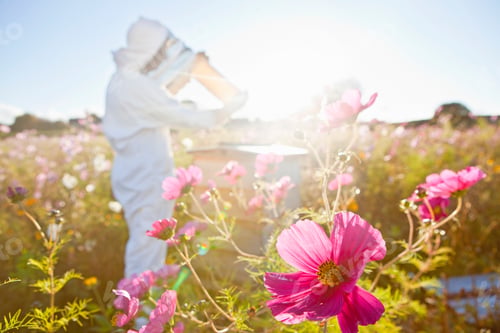 Preview: Close Up Of Flowers In A Field And A Beekeeper Checking Honey On The Beehive Frame In The Background