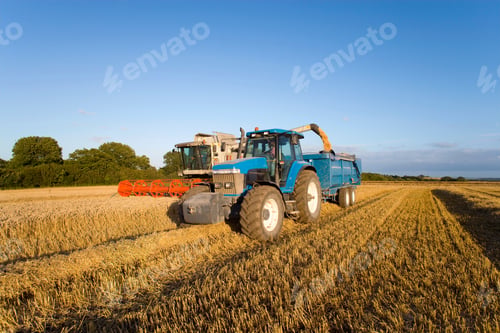 Preview: Combine Harvester And Tractor Harvesting Wheat Field On Farm