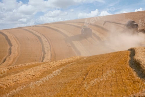 Preview: Wide Shot Of A Wheat Farm With A Tractor And Combine Harvester Going Through The Dust.