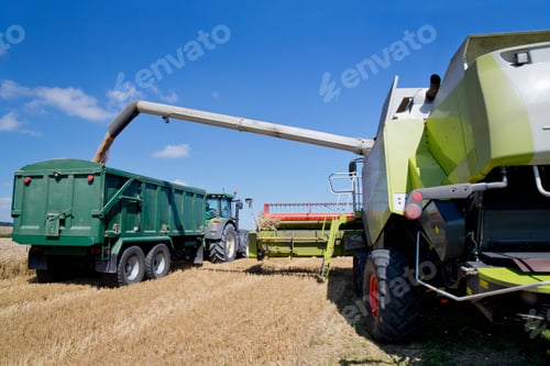 Preview: Rear View Of Combine Harvester Filling Trailer With Wheat