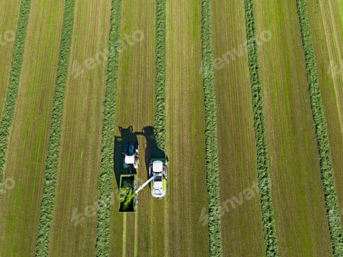 Preview: Aerial View Of Forage Harvester Cutting Grass Silage Crop In Field And Filling Tractor Trailer