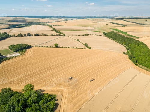 Preview: Harvest Aerial Landscape Of Combine Harvester Cutting Summer Wheat Field Crop And Tractor Trailer