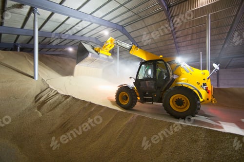 Preview: Dumper Truck Unloading Wheat Into Grain Store