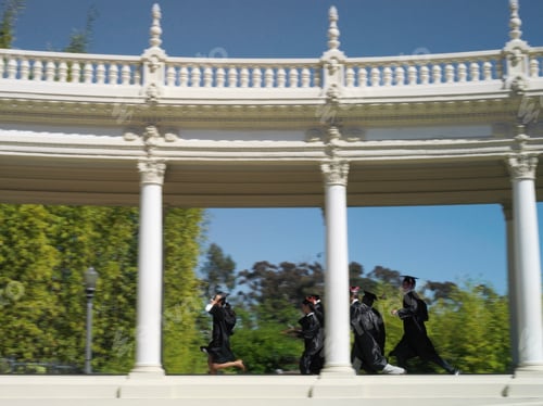 Preview: Side View Of University Students In Graduation Gowns And Mortar Boards Walking In Colonnade.