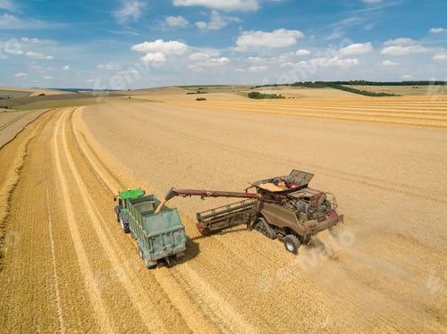 Preview: Harvest Aerial Landscape Of Combine Harvester Cutting Summer Wheat Field Crop And Tractor Trailer