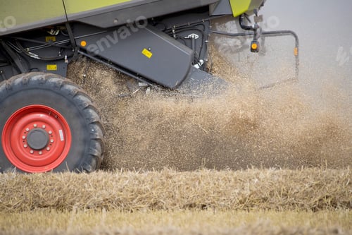 Preview: Wheat Chaff From Harvest Blowing Out Of Combine Harvester