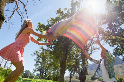 Preview: Low-Angle Shot Of A Couple Laying Picnic Blanket In A Field.