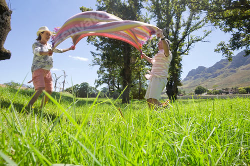 Preview: Low Angle Shot Of A Senior Couple Laying Picnic Blanket In A Field