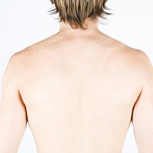 Preview: A Male Nude, Back View