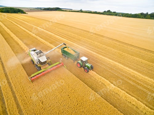 Preview: Aerial View Of Combine Harvester Filling Tractor Trailer In Golden Wheat Field