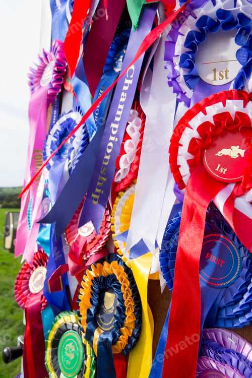 Preview: Vertical Close-Up Shot Of Multiple Equestrian Rosettes In Different Colors Hanging On A Door.