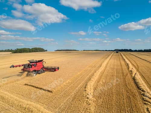 Preview: Harvest Aerial Of Combine Harvester Cutting Summer Barley Field Crop Under Blue Sky On Farm