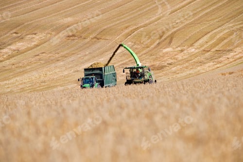 Preview: Forage Harvesting Oats And Filling Trailer In Field