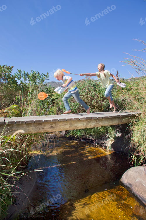 Preview: Little Girl Teasing Her Brother Using Fishing Net On A Wooden Bridge