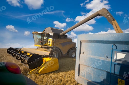 Preview: Combine Harvester Reaping Wheat Into A Trailer Attached To A Tractor At A Rural Field.