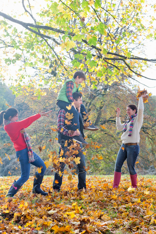 Preview: Vertical Shot Of A Family Playing With Dry Leaves In An Autumnal Park.