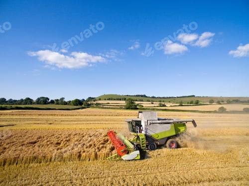 Preview: Combine Harvester In A Sunny Barley Field
