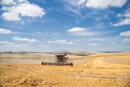 Preview: Harvest View Of Combine Harvester Cutting Summer Wheat Field Crop And Blue Sky On Farm