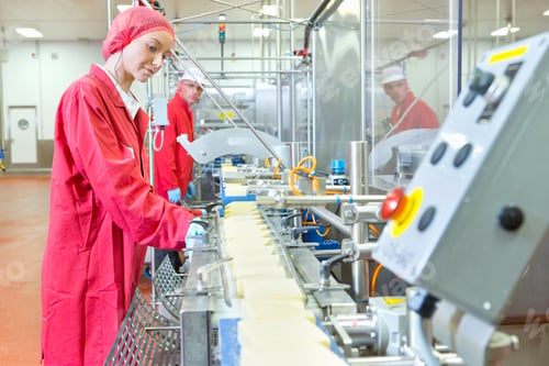 Preview: Quality Control Workers Checking Cheese On Production Line In Processing Plant