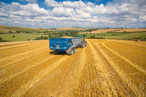 Preview: Green Tractor Pulling Trailer Full Of Wheat In Sunny Rural Field