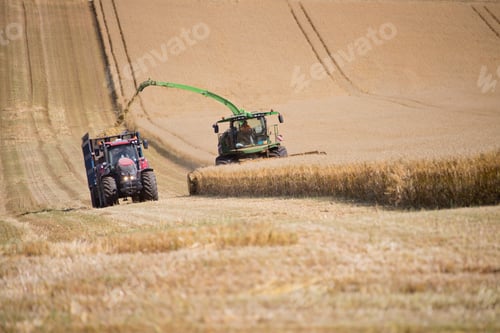Preview: Forage Harvesting Oats And Filling Trailer In Field