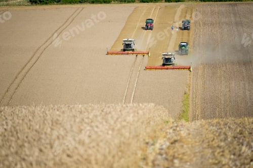 Preview: Two Combine Harvesters Harvesting Field Of Wheat