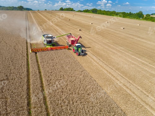 Preview: Aerial View Of Combine Harvester Harvesting Wheat And Filling Tractor Trailer With Grain