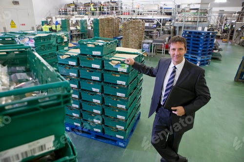 Preview: High Angle Shot Of A Businessman Leaning Against A Stack Of Containers At A Potato Food Processing