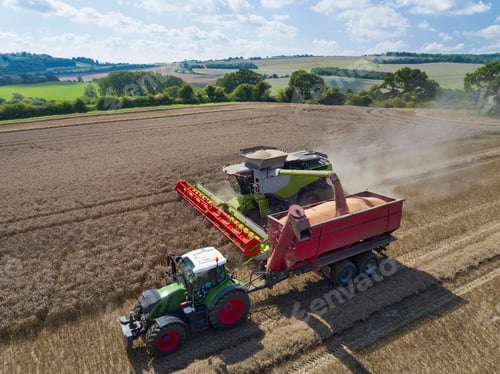 Preview: Aerial View Of Combine Harvester Harvesting Wheat And Filling Tractor Trailer With Grain