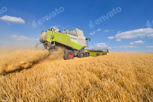Preview: Combine Harvester In A Sunny Barley Field