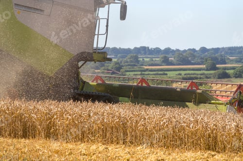 Visualização: Close Up Of Combine Harvester Harvesting Wheat Crop In Field