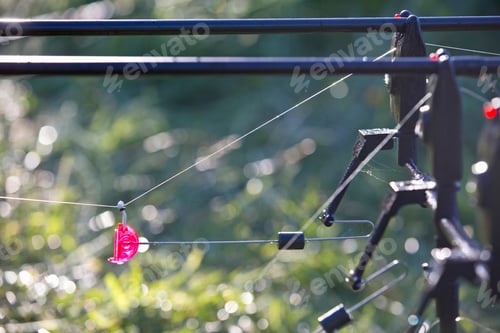 Preview: Close Up Of Carp Fishing Rods With Bite Alarms