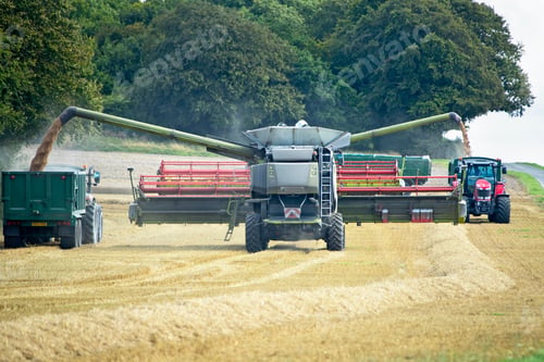 Preview: Combine Harvester With Tractor Harvesting Wheat Crop