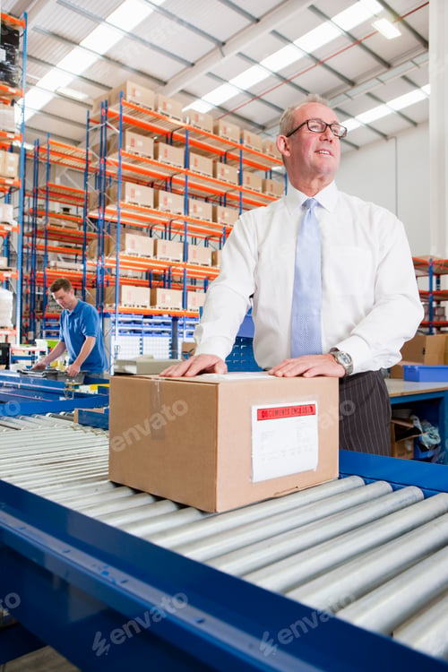 Preview: Vertical Shot Of A Supervisor Inspecting Boxes At The Production Line Of A Distribution Warehouse.
