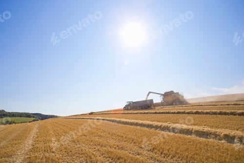 Preview: Wide Shot Of A Tractor With A Trailer Moving Alongside A Combine Harvester In A Rural Field.